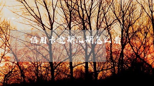 信用卡逾期几期怎么看 信用卡逾期几期怎么看