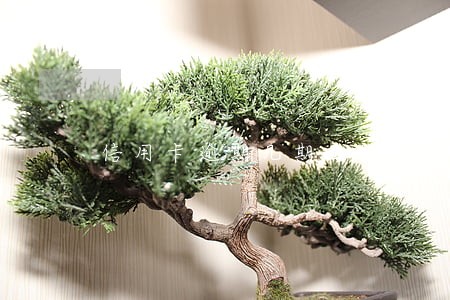 信用卡逾期几期止付 信用卡逾期几期止付