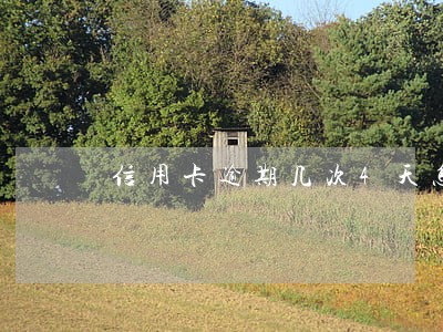 信用卡逾期几次4天怎么办