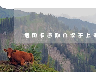 信用卡逾期几次不上征信