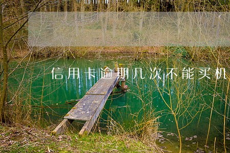 信用卡逾期几次不能买机票