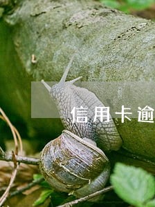 信用卡逾期几次不能代款 信用卡逾期几次不能代款