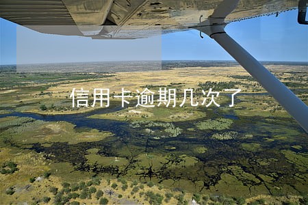 信用卡逾期几次了