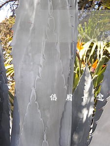 信用卡逾期几次会让全额还款
