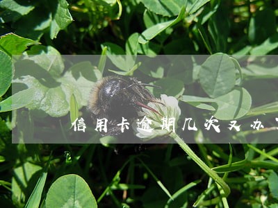 信用卡逾期几次又办了信用卡 信用卡逾期几次又办了信用卡
