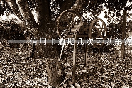 信用卡逾期几次可以车贷吗 信用卡逾期几次可以车贷吗