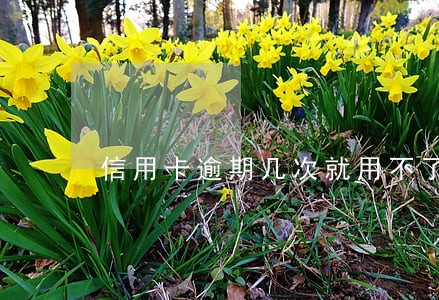 信用卡逾期几次就用不了啦 信用卡逾期几次就用不了啦