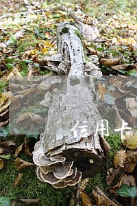 信用卡逾期几次影响信誉