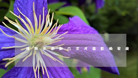 信用卡逾期几次才会影响买房 信用卡逾期几次才会影响买房