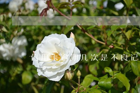 信用卡逾期几次是不良记录吗