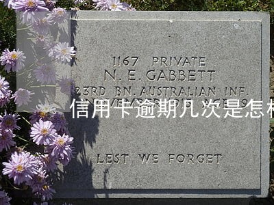 信用卡逾期几次是怎样算的