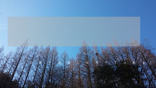 信用卡逾期几次用不了公积金 信用卡逾期几次用不了公积金