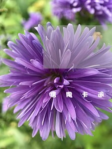 信用卡逾期几次算严重逾期 信用卡逾期几次算严重逾期