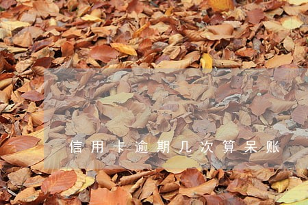 信用卡逾期几次算呆账 信用卡逾期几次算呆账
