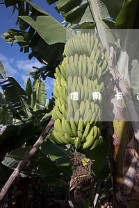信用卡逾期几次算诈骗 信用卡逾期几次算诈骗