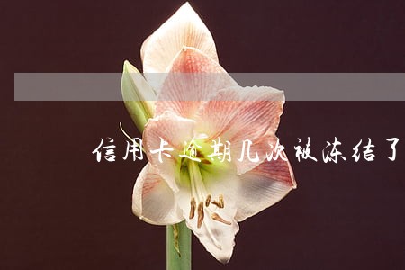 信用卡逾期几次被冻结了怎么办 信用卡逾期几次被冻结了怎么办