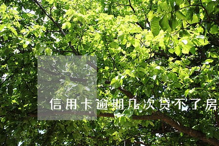 信用卡逾期几次贷不了房贷