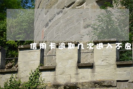 信用卡逾期几次进入不良记录