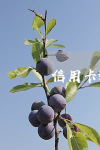 信用卡逾期几次都还了
