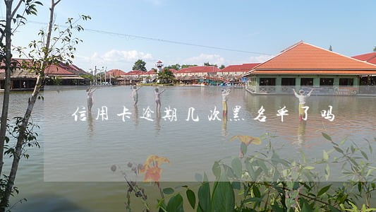 信用卡逾期几次黑名单了吗 信用卡逾期几次黑名单了吗