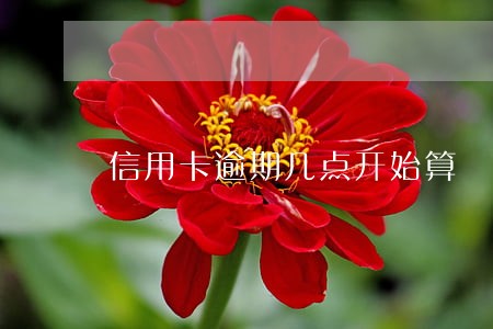 信用卡逾期几点开始算