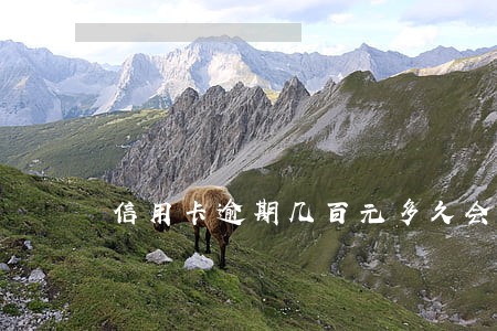 信用卡逾期几百元多久会上征信 信用卡逾期几百元多久会上征信