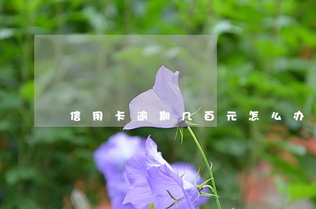 信用卡逾期几百元怎么办 信用卡逾期几百元怎么办
