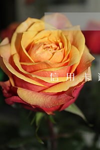 信用卡逾期几百块会有什么影响