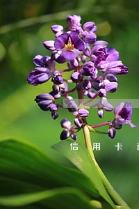 信用卡逾期几百块影响贷款吗 信用卡逾期几百块影响贷款吗