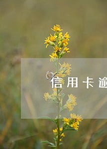 信用卡逾期几百块钱忘还 信用卡逾期几百块钱忘还