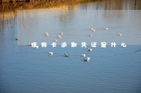 信用卡逾期凭证是什么