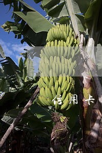 信用卡逾期出国受影响吗 信用卡逾期出国受影响吗
