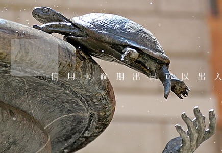 信用卡逾期出国可以出入境吗 信用卡逾期出国可以出入境吗