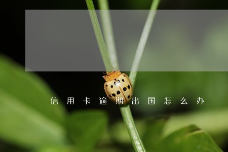 信用卡逾期出国怎么办 信用卡逾期出国怎么办