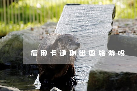 信用卡逾期出国旅游吗 信用卡逾期出国旅游吗