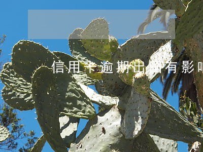 信用卡逾期出国有影响吗