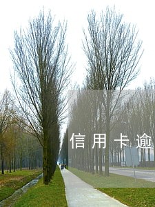 信用卡逾期出国能办理签证么
