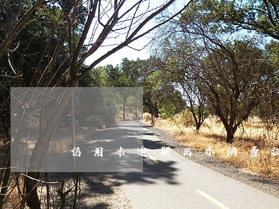 信用卡逾期出示消费证明
