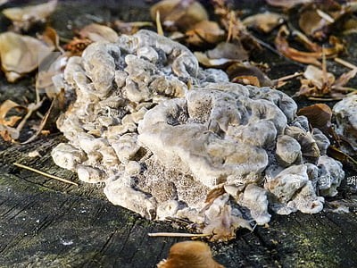 信用卡逾期函件寄到哪里 信用卡逾期函件寄到哪里