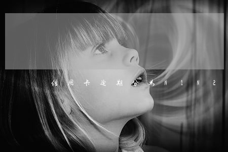 信用卡逾期分为N1N2 信用卡逾期分为N1N2