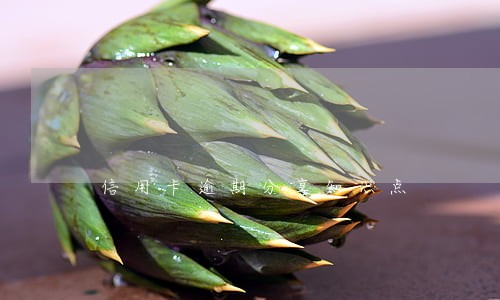 信用卡逾期分享知识点 信用卡逾期分享知识点