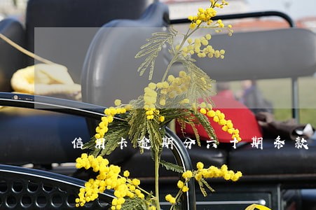 信用卡逾期分六十期条款