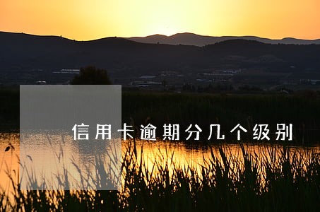 信用卡逾期分几个级别 信用卡逾期分几个级别