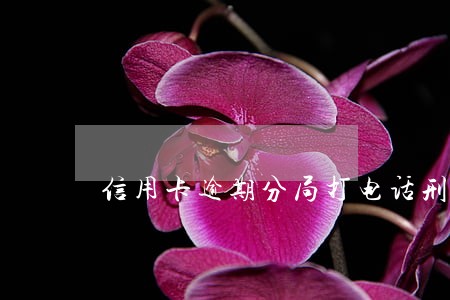 信用卡逾期分局打电话刑拘