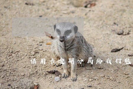 信用卡逾期分局给我打电话 信用卡逾期分局给我打电话