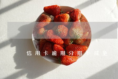 信用卡逾期分期不减免 信用卡逾期分期不减免