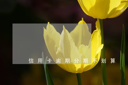 信用卡逾期分期不划算 信用卡逾期分期不划算