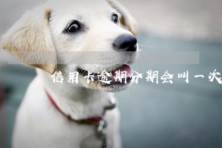 信用卡逾期分期会叫一次性还吗 信用卡逾期分期会叫一次性还吗