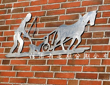 信用卡逾期分期会有手续费吗 信用卡逾期分期会有手续费吗