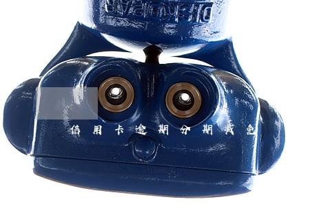信用卡逾期分期减免 信用卡逾期分期减免